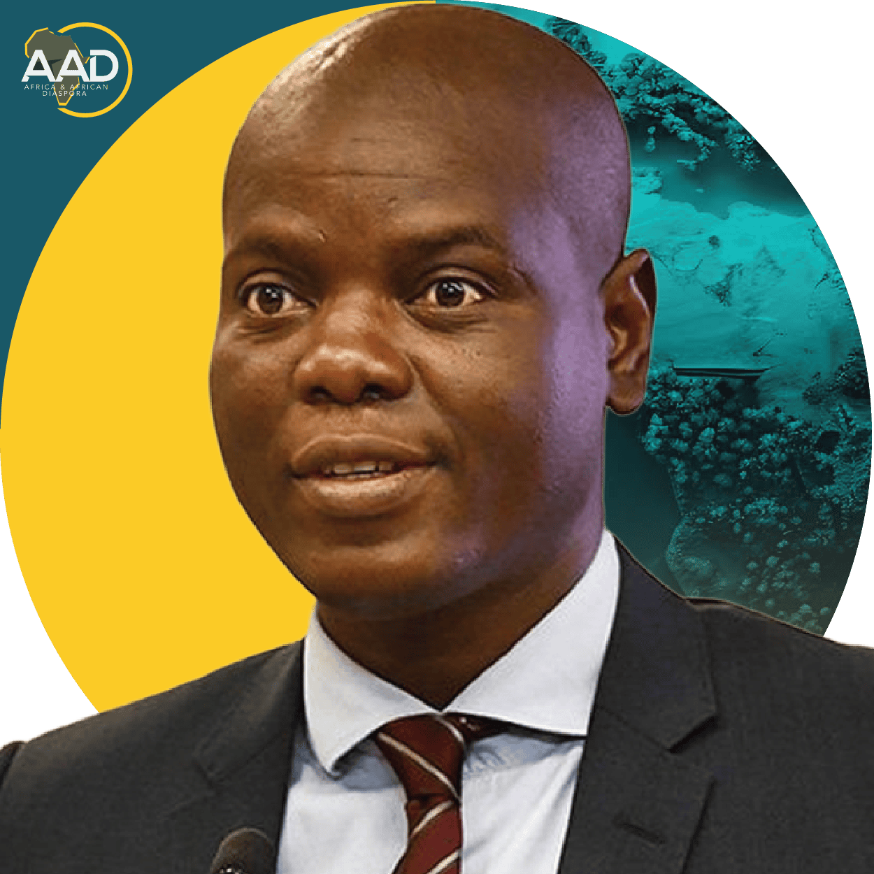 Hon. Ronald Lamola